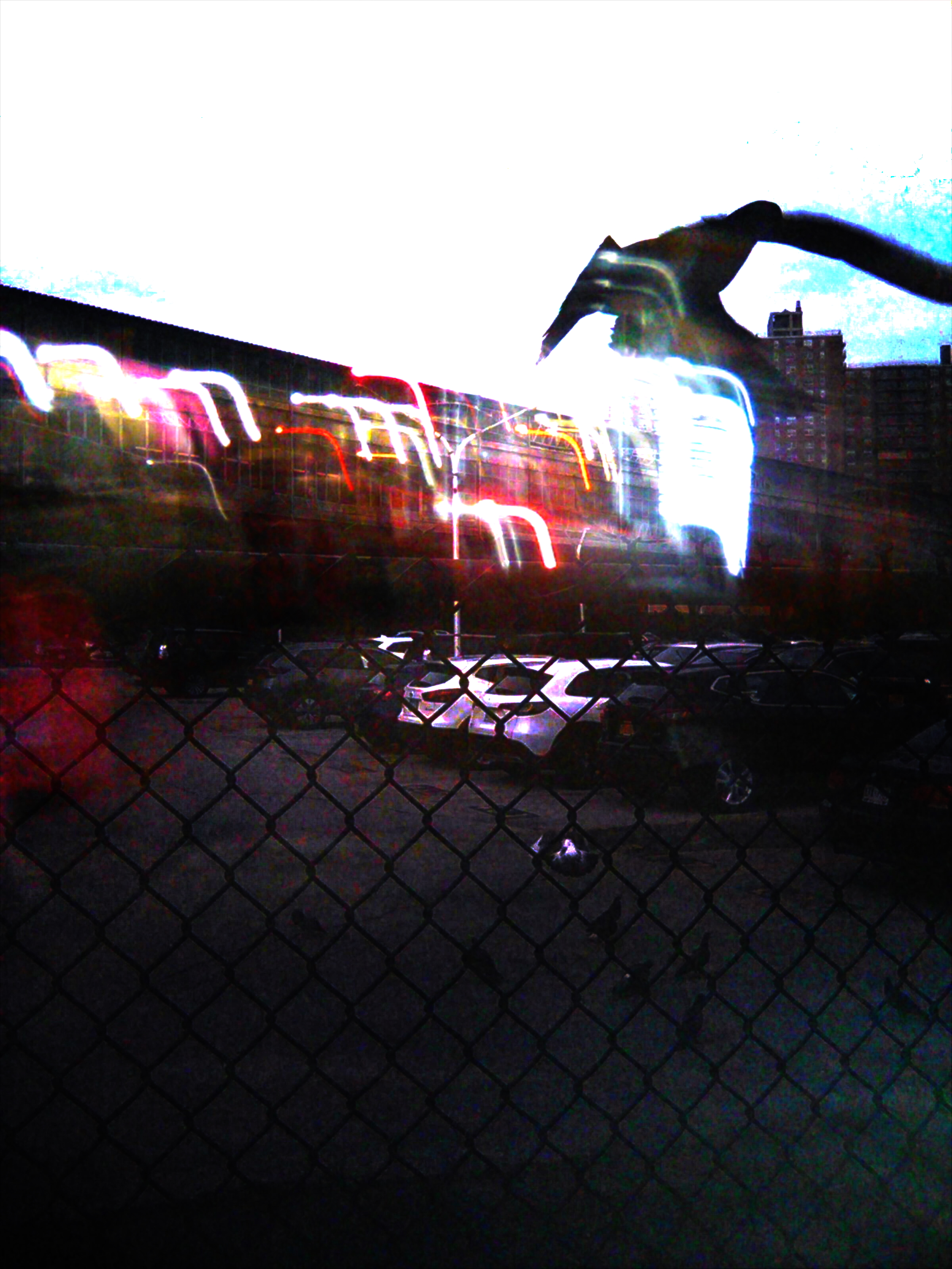 A frame of a bird from the Evil Star music video