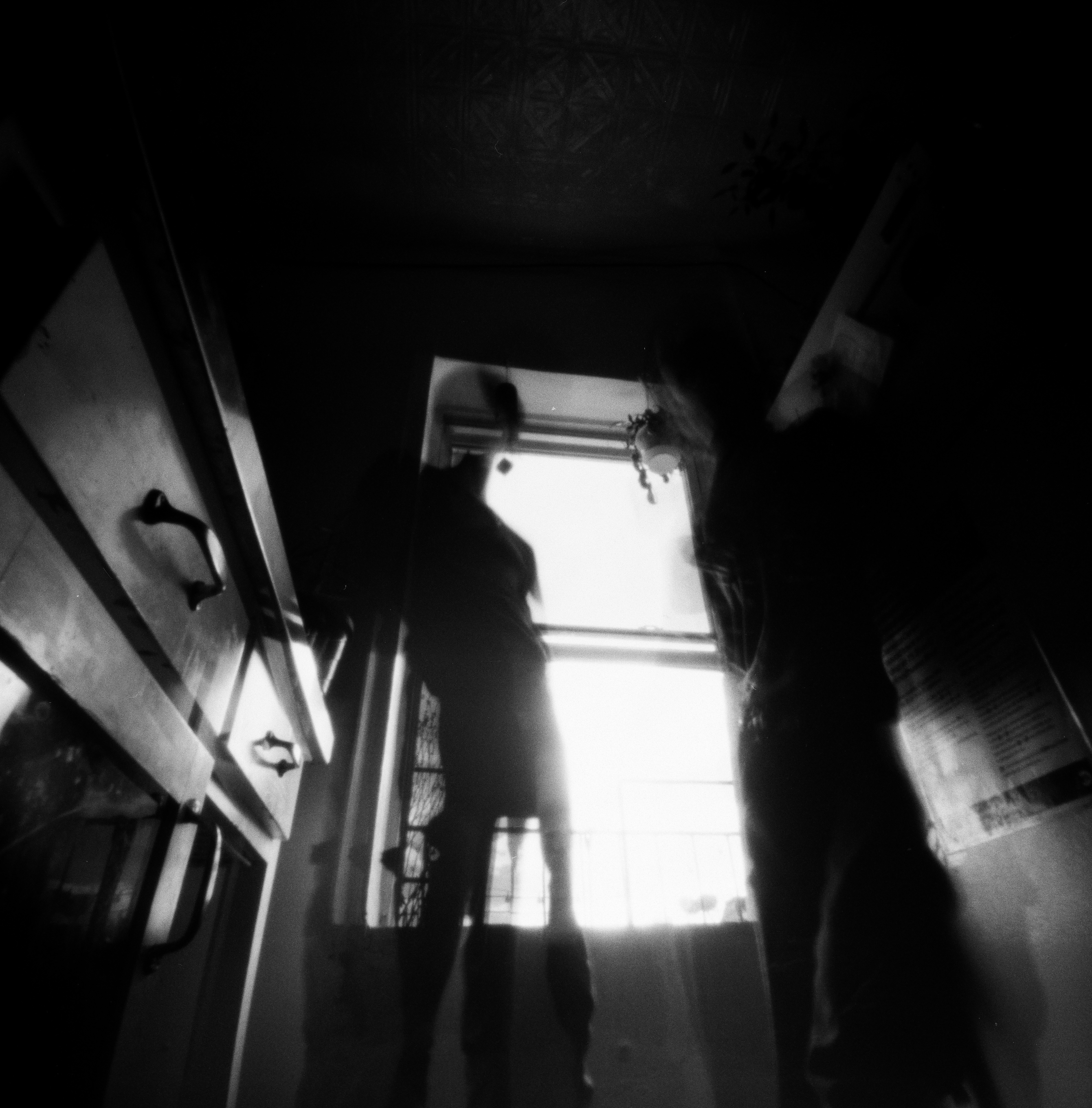 A photo of Club Ecology by Brenna Sastram